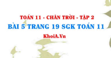 Bài 5 trang 19 Toán 11 Tập 2 Chân trời sáng tạo